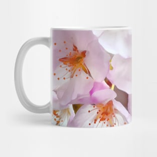 Delicate Washington Cherry Blossoms Macro - Watercolor Effect Mug